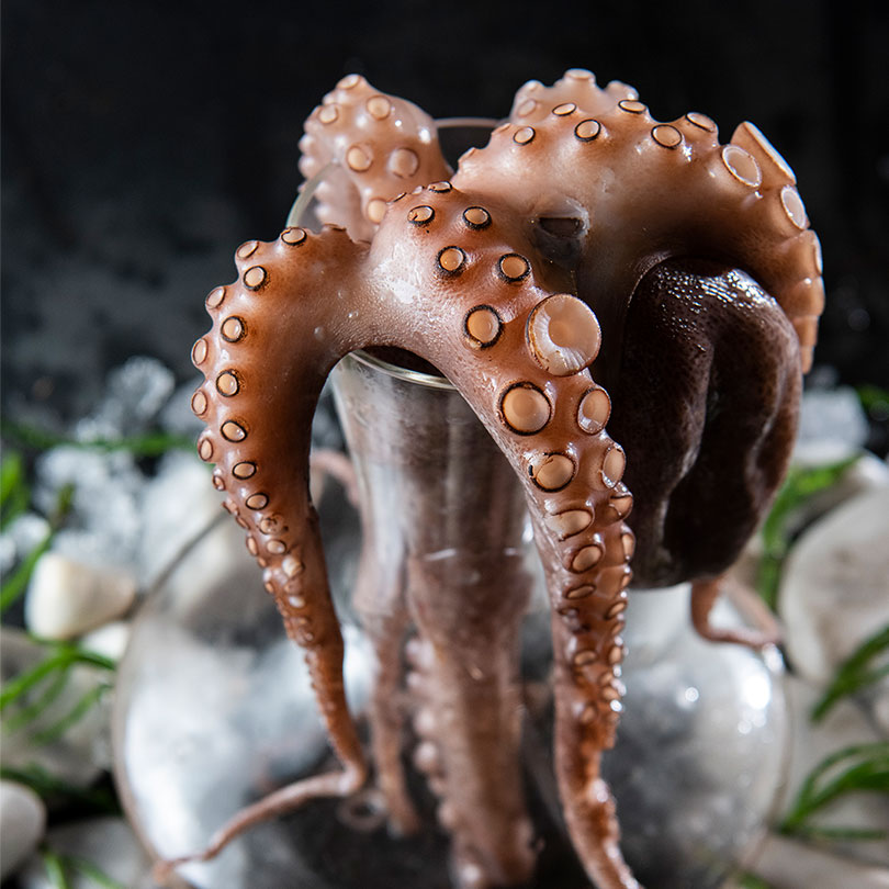 Octopus in a decanter - Sciacca Grill